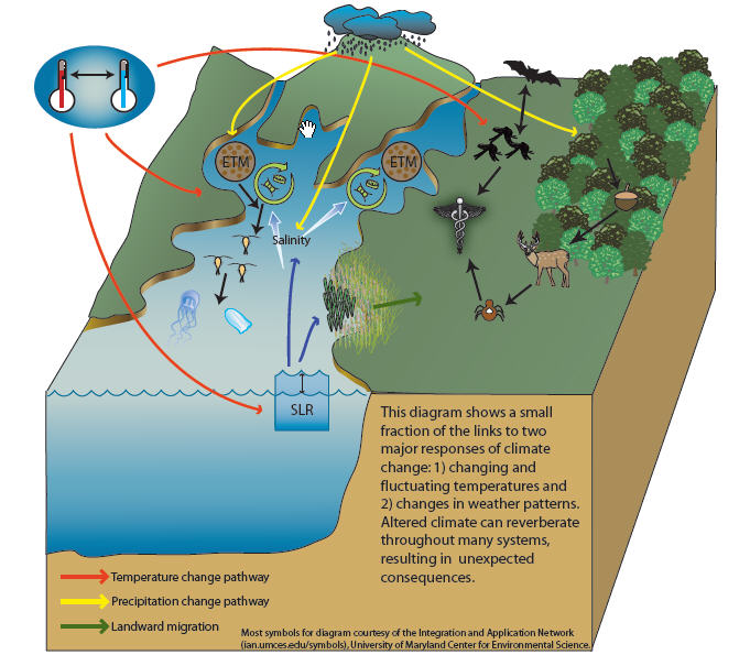 climate change impacts